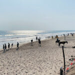 Marketing agency Atican Beach