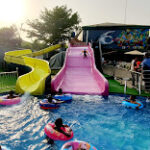 Marketing agency near Dream Park and Gardens