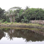 Marketing agency Freedom Park Lagos