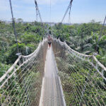 Marketing Agency Lekki Conservation Centre