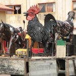 MARKETING AGENCY NEAR OSHODI ART GALLERY