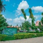 Marketing Agency Nelson Mandela Gardens asaba