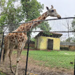 Marketing Agency Near University of Ibadan, Zoological Garden